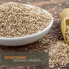 Mounting demand of Organic Sesame Seeds in Global Markets