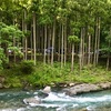 キャンプの非日常