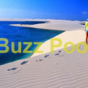 Buzz Pool