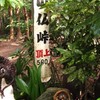 健康体質作り････高尾山と「健康」の巻（１）