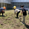 6月30日＆7月20日　学内畑　畝づくり・ひまわりの種まき・防鳥ネット設置