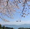 桜を求めて瀬戸内海へ