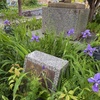 南風の銘板