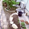 花壇を作る