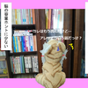 読書は楽しい