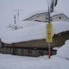 　雪ちゃんから来た賀状