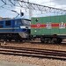 稲沢貨物駅見学コーナーに行ってみました