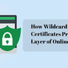 How Wildcard & EV SSL Certificates Provide Multiple Layer of Online Protection