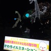 【2025】かわち水と緑のふれあい公園イルミネーション｜無料・駐車場・混雑レポ