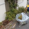 駐輪場を造るPart3　花壇の植物の撤去【DIY・カスタマイズ】