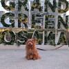 【犬連れレポート】JR大阪北「グラングリーン大阪」南エリアを見に行ってきました。