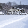 ただいま降雪中！