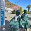 河津桜が満開〜踊り子号に乗って｡