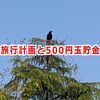旅行計画と500円玉貯金