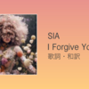 【歌詞・和訳】Sia / I Forgive You 