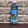今日も昼寝しないので諦めてます