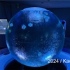 【2024年3月1日】家族みんなで新江ノ島水族館へ #61