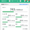 【マイナス15キロ】100日ダイエット64日目🐱しっかり食べたのにカロリー足りてない！？