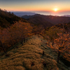 海の見える山