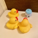 Schwimmen