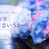 雨の季節を美しく彩る。久安寺「あじさいうかべ」と楼門に咲くアジサイの風情