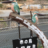 目久尻川から相模川へ