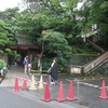 アジサイを見に鎌倉へ　～花より緑～
