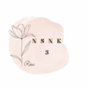 nsnk3