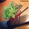 多肉＋DULTON -Mini wheel barrow- 