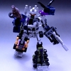 BRUTICUS