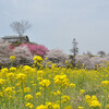 群馬花見ツーリング