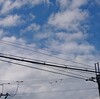 晴れ☀　姉が来ました(^・^)