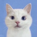 らーめんずるずる犬歯