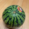 1000万円かけて大学に行ってるのだからそれなりに頑張りたい