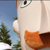 1月12日は？スキーの日！レルヒさんの日！今年は日本・オーストリア友好150周年！上越市内のイベント情報