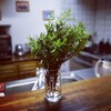 いただきました