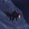 【MHW】環境生物：バクヤクデメキン【調査】