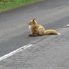 知床の旅④〜2日目前半