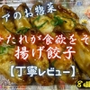 ベイシアのお惣菜『ピリ辛たれが食欲をそそる‼揚げ餃子』はご飯が進むパワー型でした【丁寧レビュー】