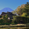 富士山　忍野八海　河口湖大石公園　2022年10月23日
