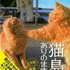 「猫ミーム」で使用されている曲・BGMまとめ