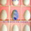 『青空の卵』坂木司