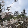【旅】花らんまんの高知へ