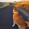 受験生、戦士の休息バーベキュー。