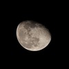 今日の月と木星