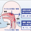 免疫力