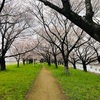 レペティション導入〜からのお花見ラン🌸〜