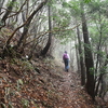 清明の三辻の森遊山　山霧