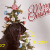 メリークリスマス