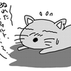 雄国沼のニッコウキスゲを見てきました♪